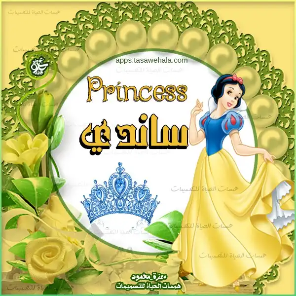 أميرات ديزني بالاسم